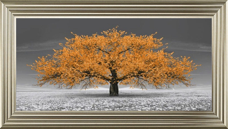 Orange Cherry Blossom Tree