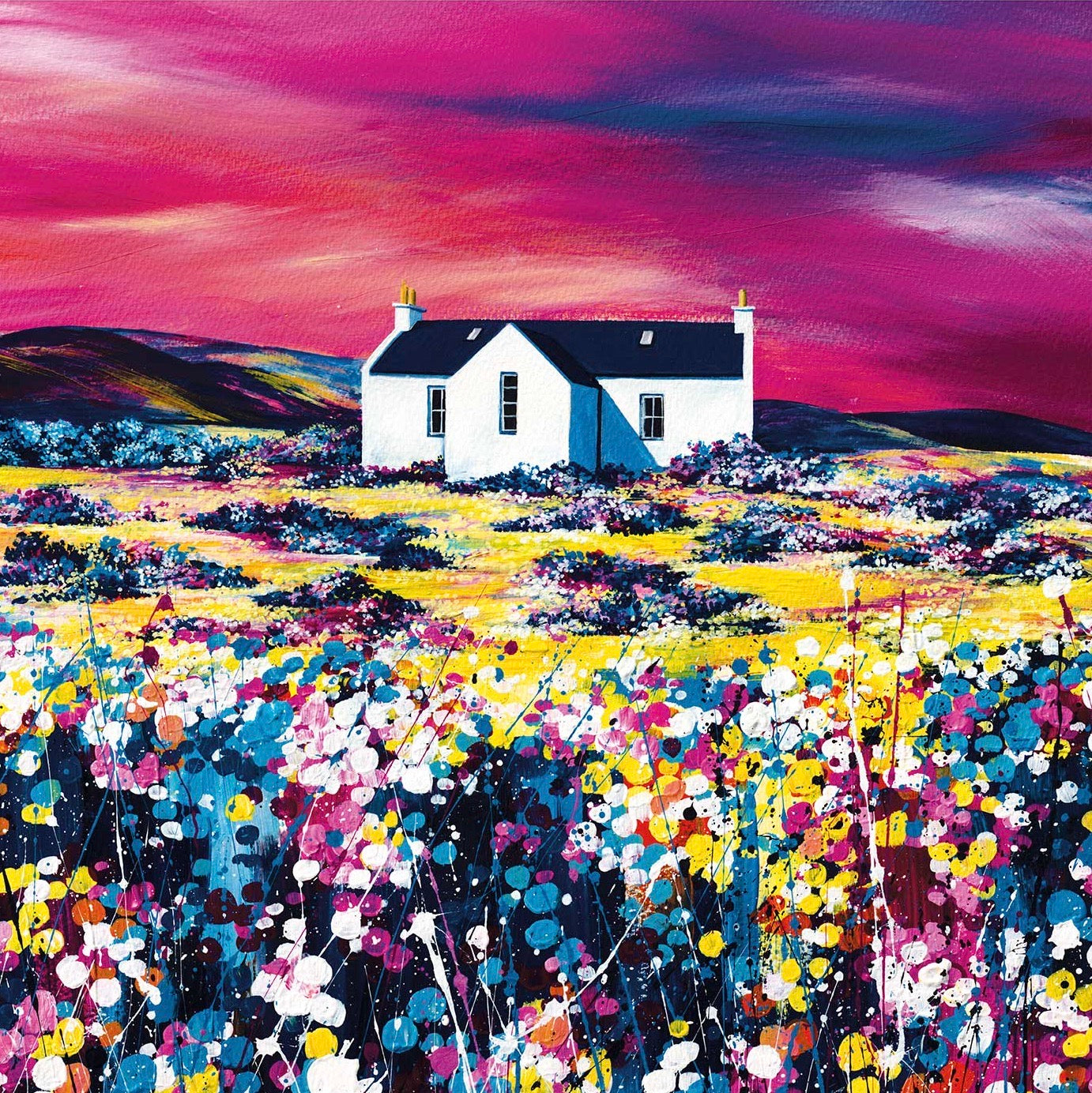 A Sky Pink by Avril Thomson Smith