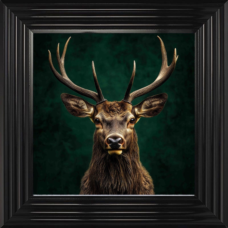 Stag, Emerald