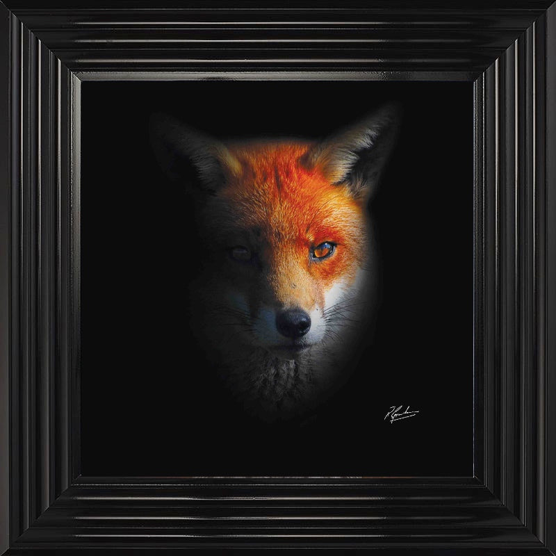Dark Fox