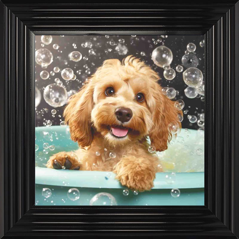 Cockapoo Bath Time