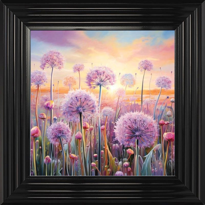 Pastel Allium Sunrise