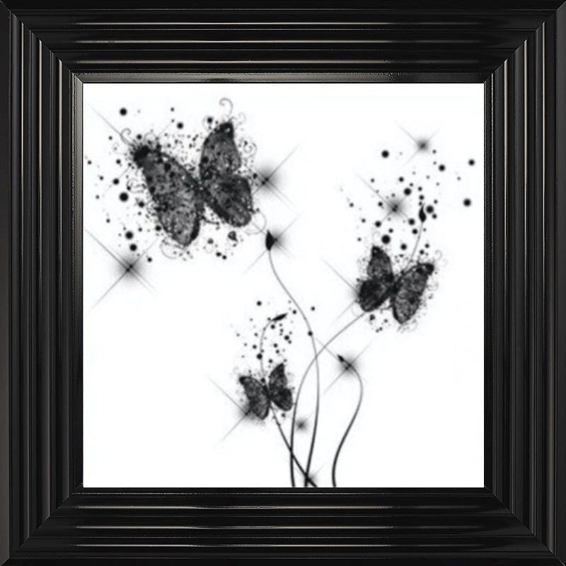 Butterflies White and Black
