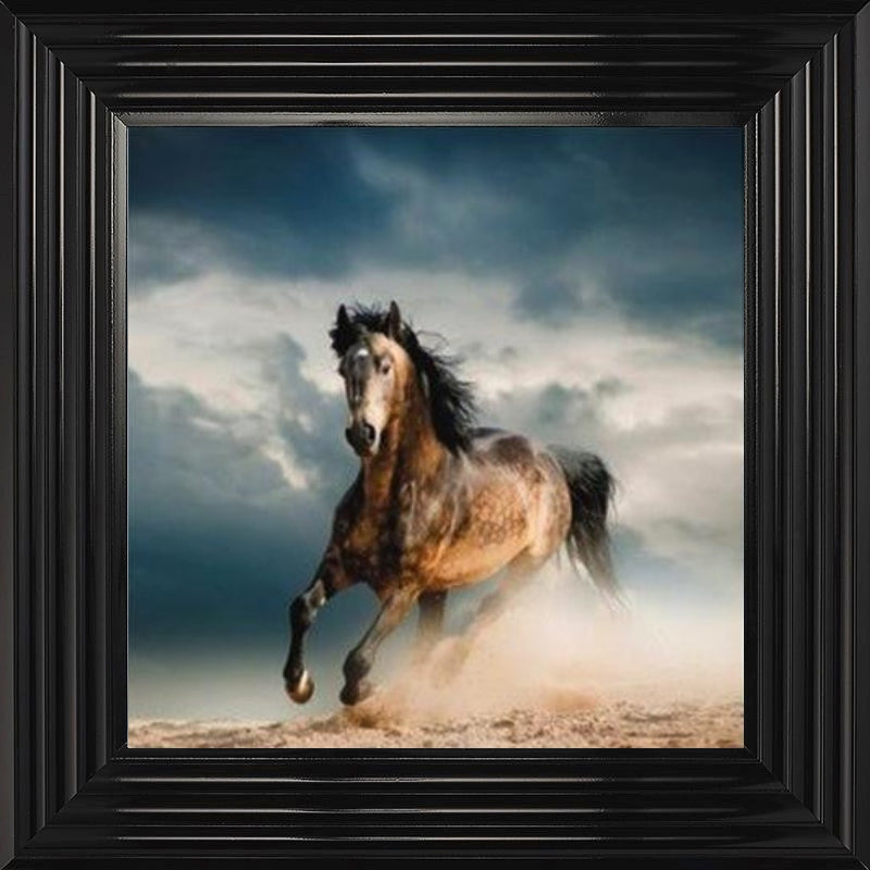 Horse in Duststorm