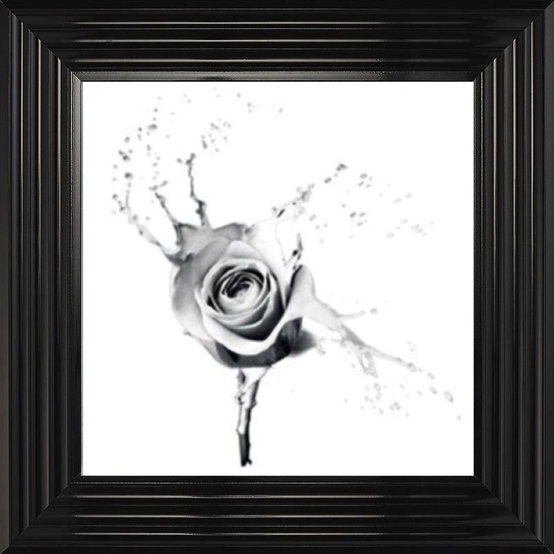 White Rose