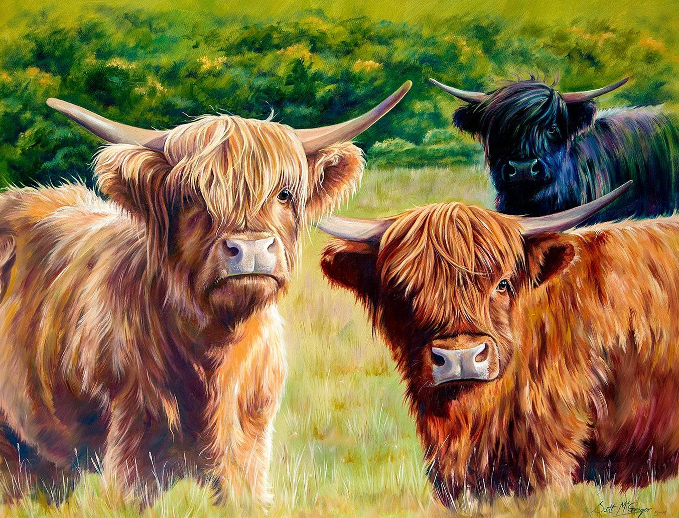 Brambles, Bracken and Nettles by Scott McGregor