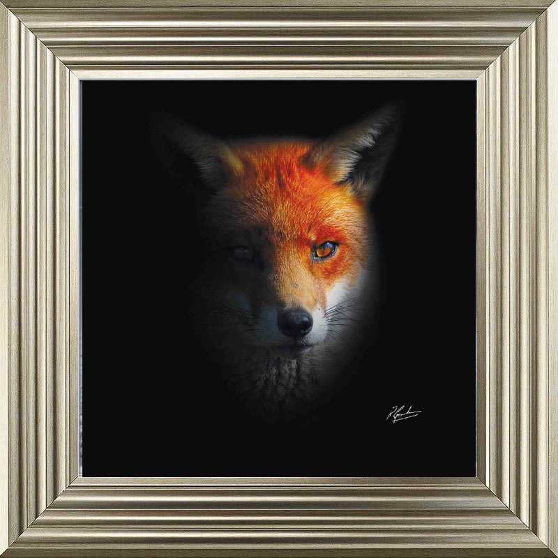 Dark Fox
