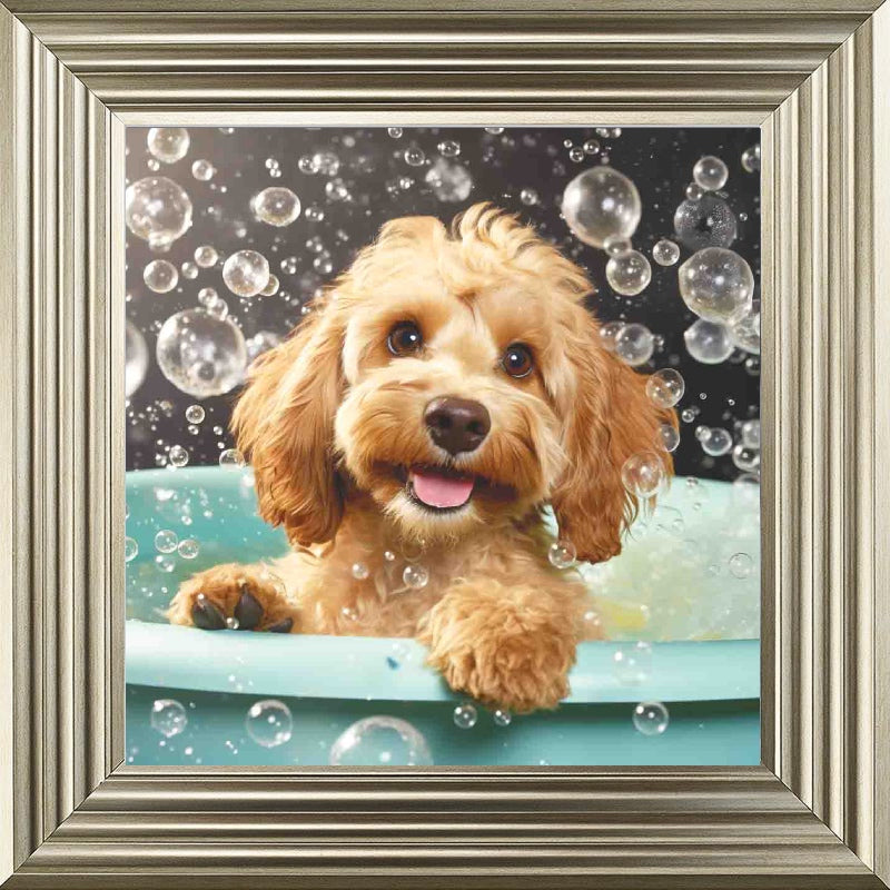 Cockapoo Bath Time