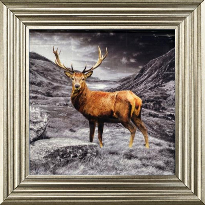 Stag - Colour Splash