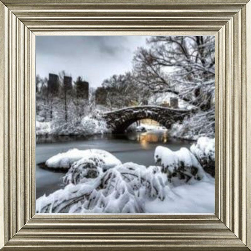 Central Park Winter, New York