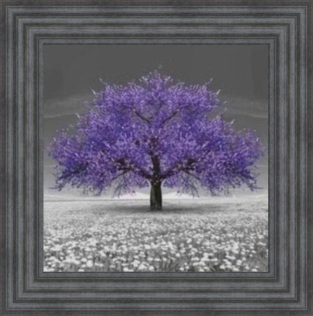 Purple Cherry Blossom Tree