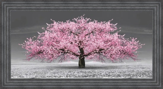Pink Cherry Blossom Tree