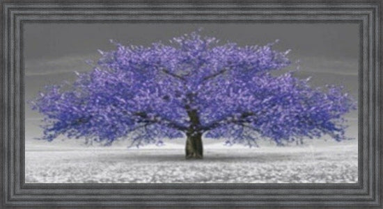 Purple Cherry Blossom Tree