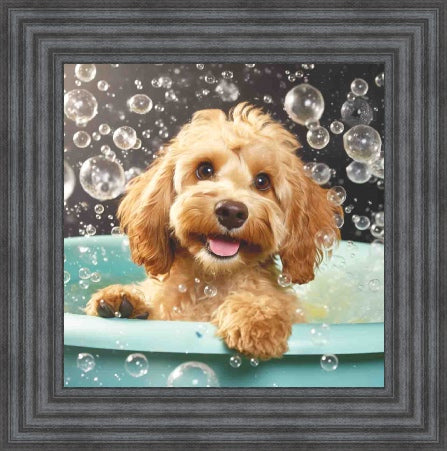 Cockapoo Bath Time
