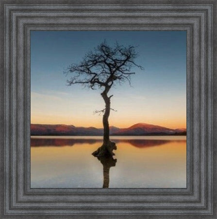 Reflected Tree, Loch Lomond