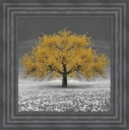 Gold Cherry Blossom Tree