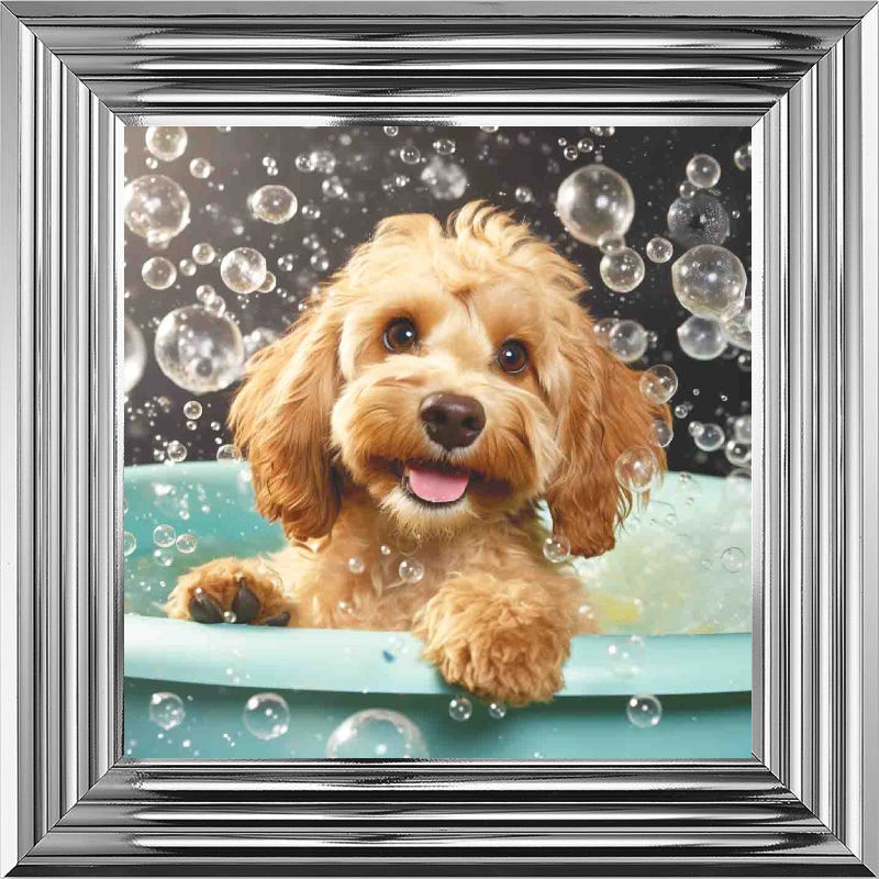 Cockapoo Bath Time