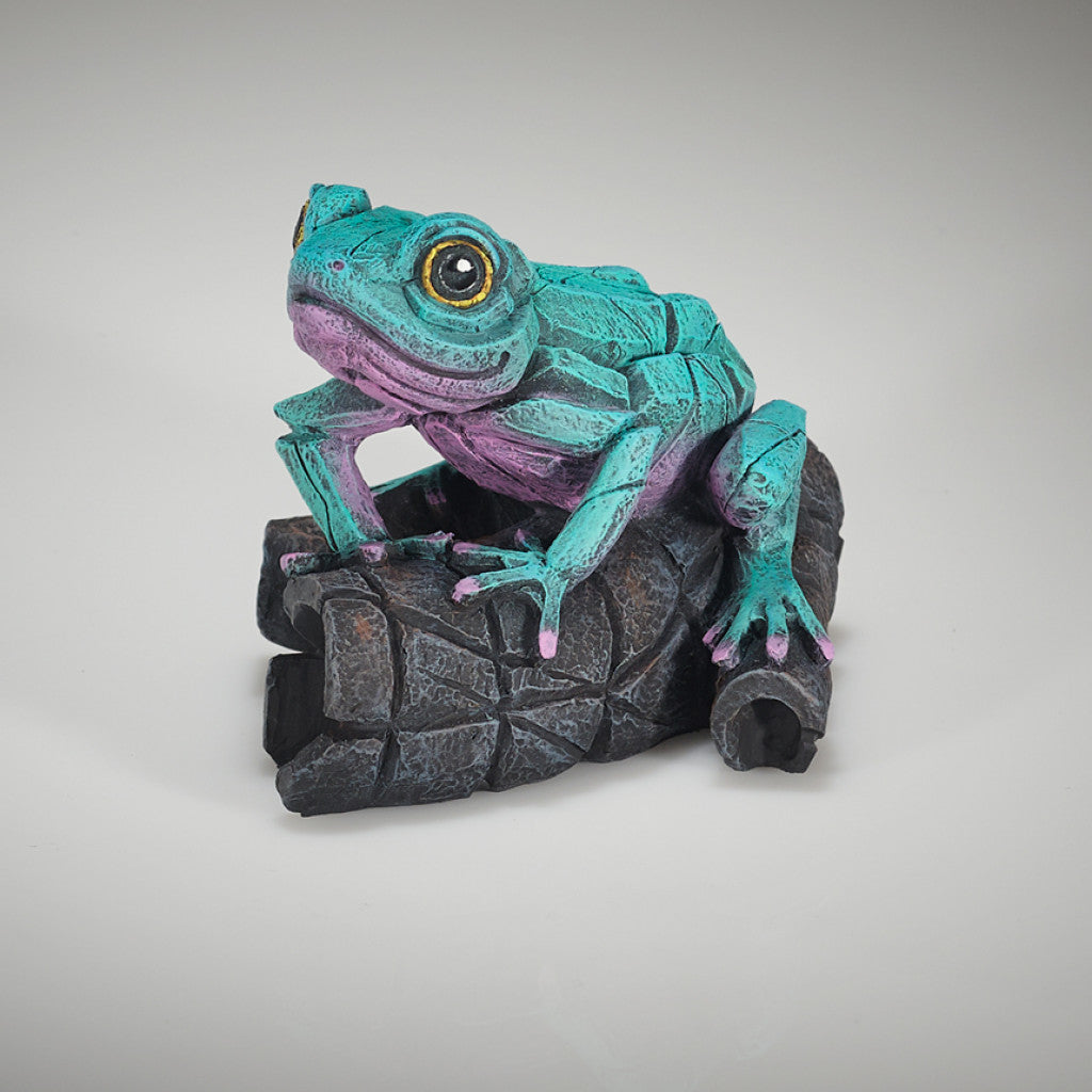 African Tree Frog (Aqua Pink) - Edge Sculpture