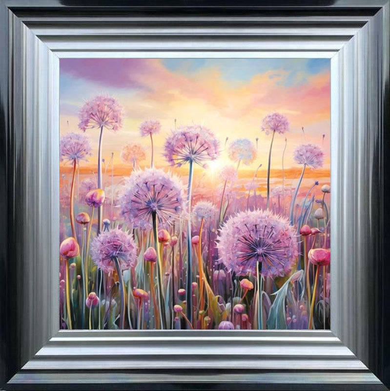 Pastel Allium Sunrise