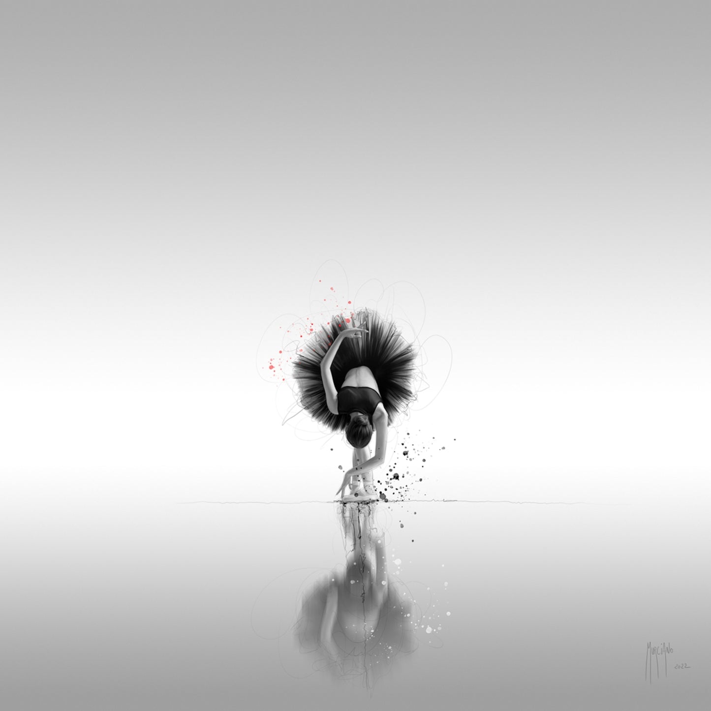 Le Cygne Noir by Patrice Murciano