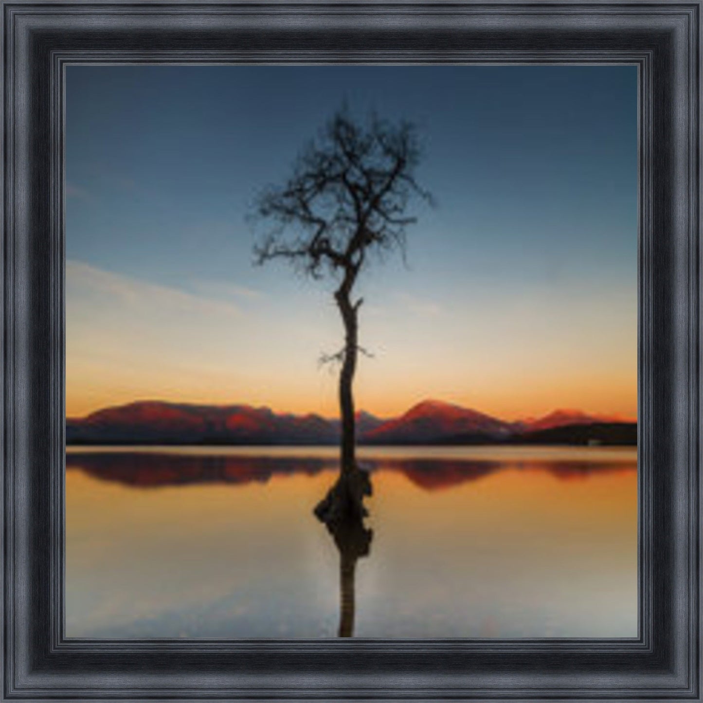 Reflected Tree, Loch Lomond - Colour Burst Mini Liquid Art