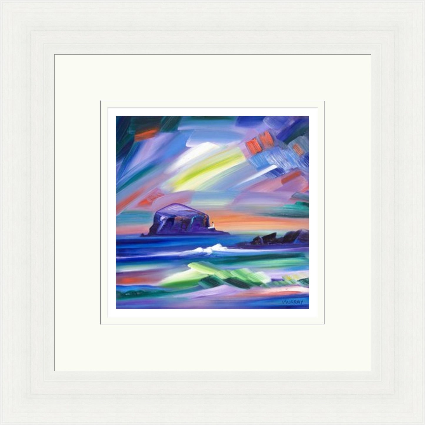 Bass Rock by Raymond Murray
