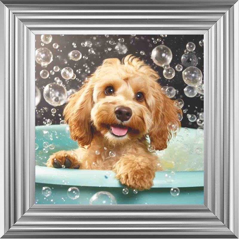 Cockapoo Bath Time