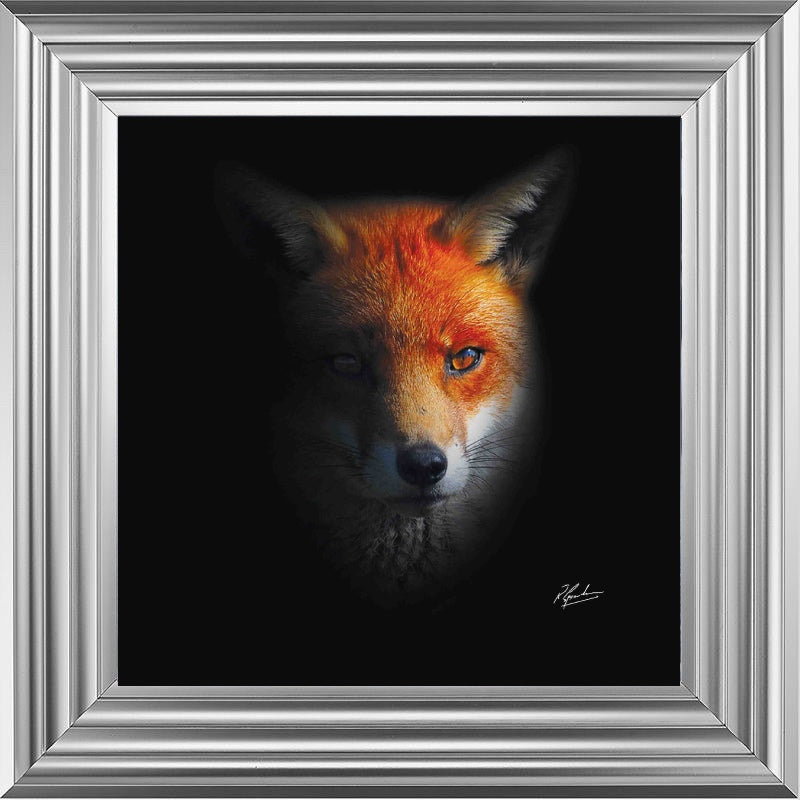 Dark Fox