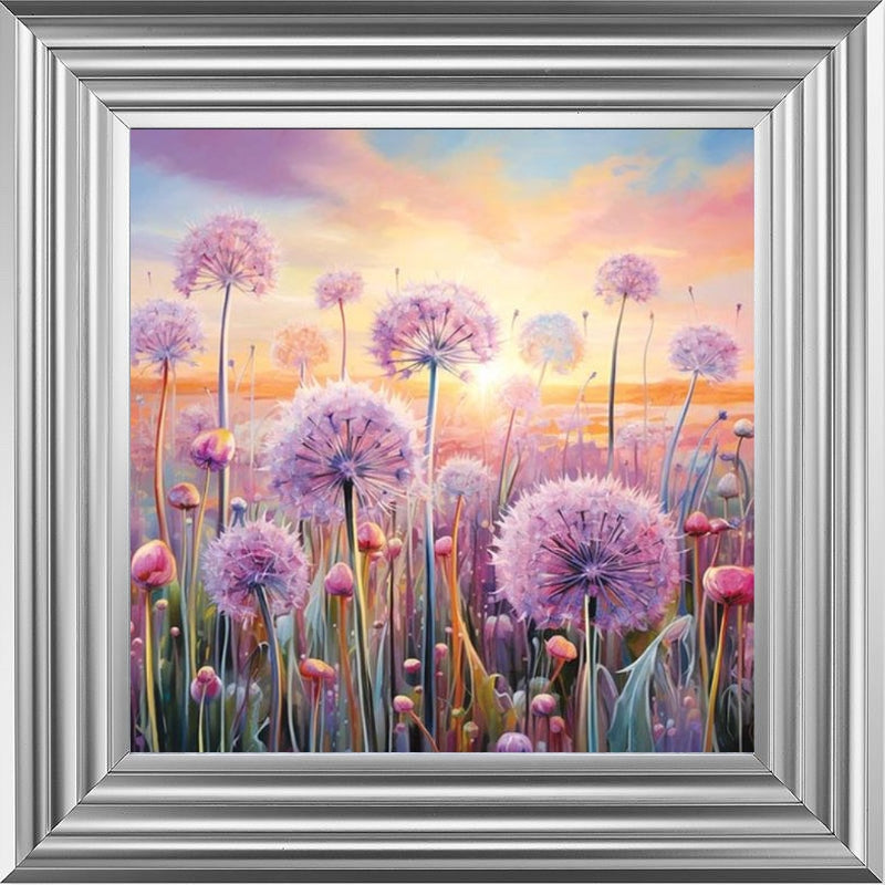 Pastel Allium Sunrise