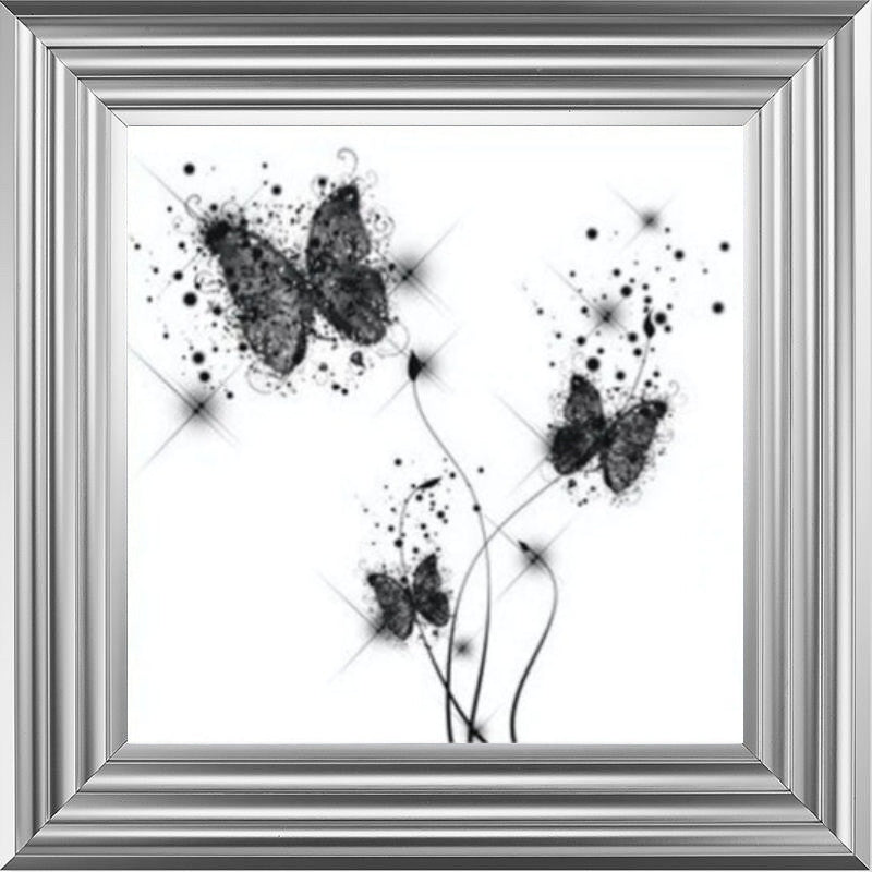 Butterflies White and Black