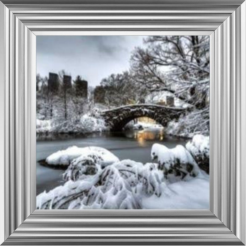 Central Park Winter, New York