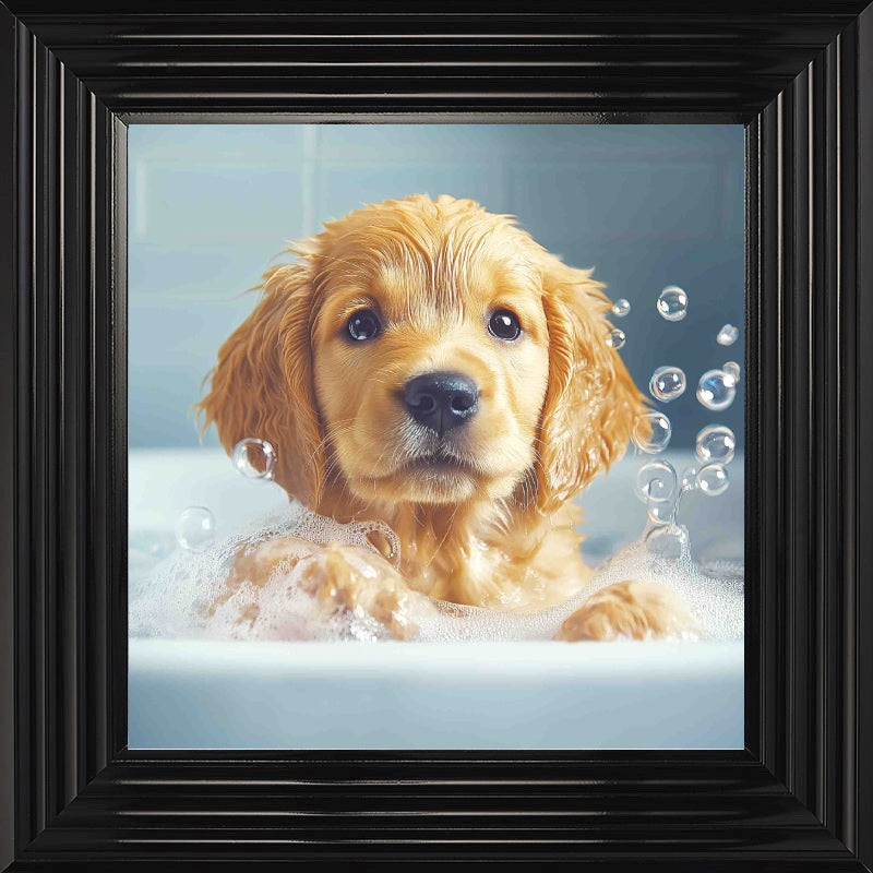 Golden Retriever Puppy Bath Time