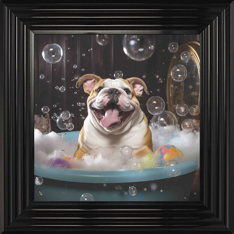 Bulldog Bath Time