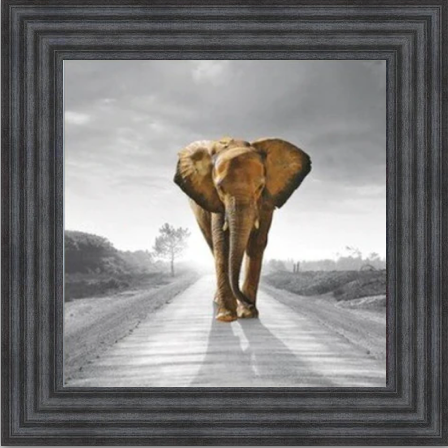 Walking Home - Colour Splash