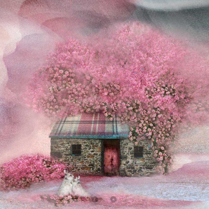 Blossom Bothy by Esther Cohen