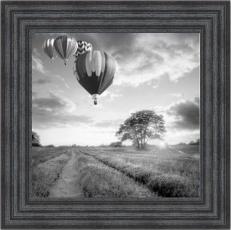 Hot Air Balloons - Black and White