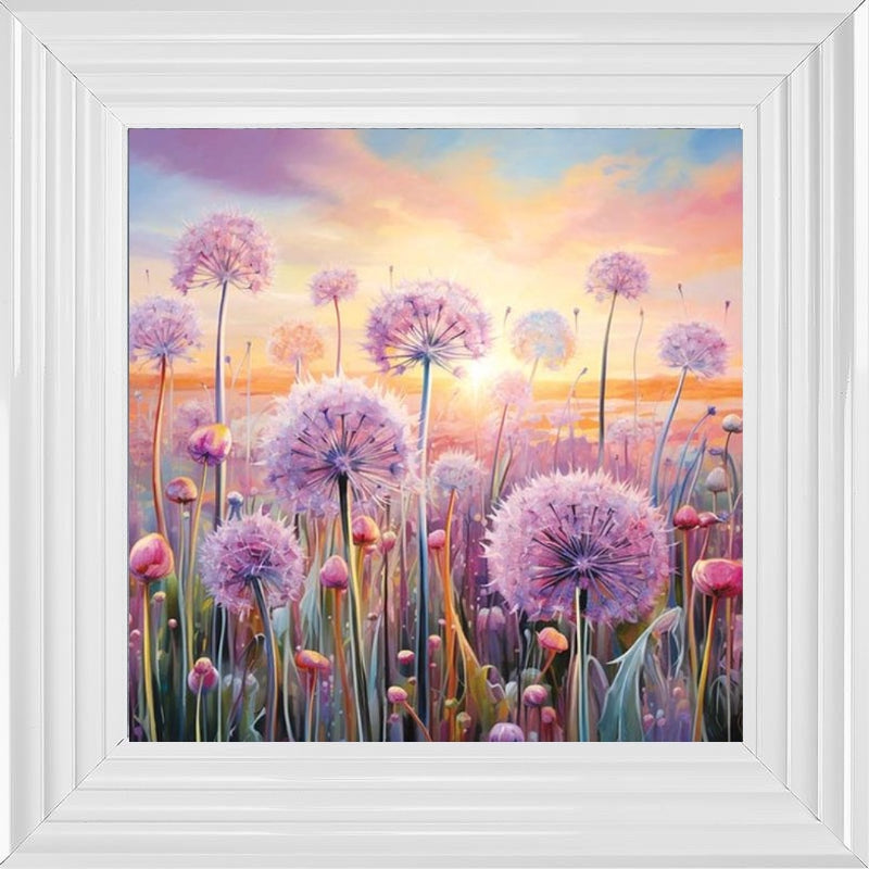 Pastel Allium Sunrise