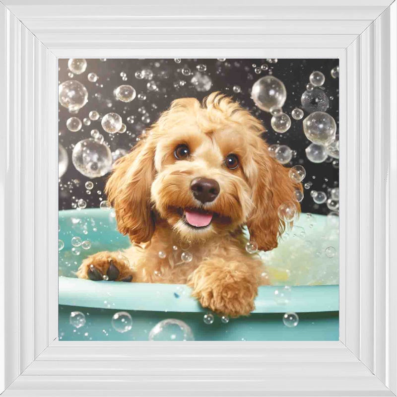 Cockapoo Bath Time