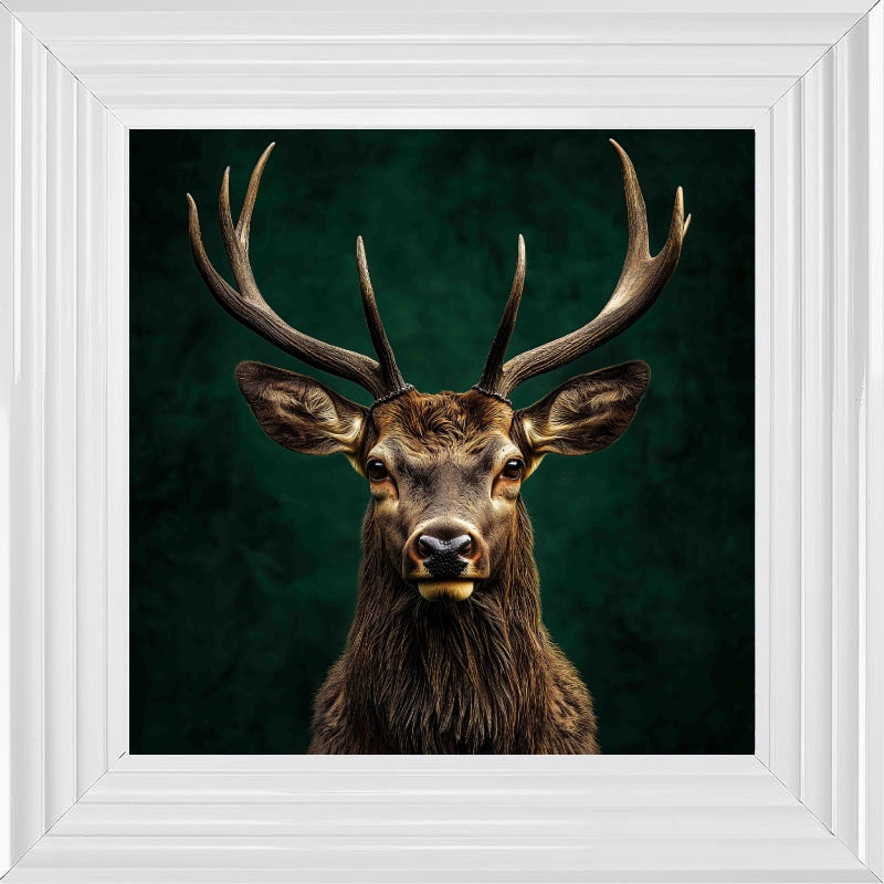 Stag, Emerald