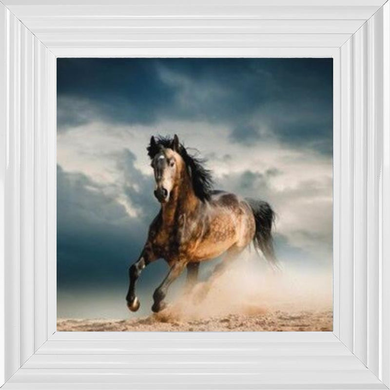 Horse in Duststorm