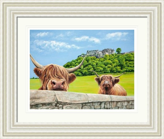Heilan Coos at Stirling Castle by Scott McGregor