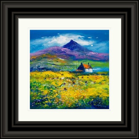 Wee Peat Stacks And Wild Machair Flowers, South Uist by John Lowrie Morrison Jolomo