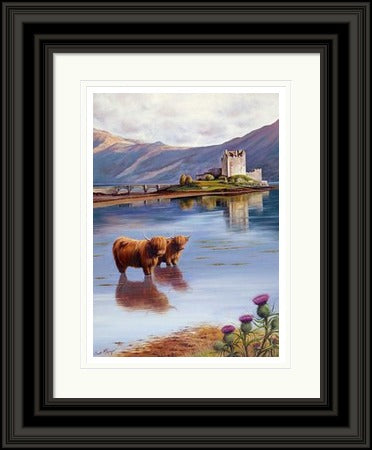 Coos at Eilean Donan Castle by Scott McGregor