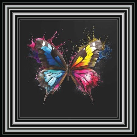 Butterfly Colour Splash