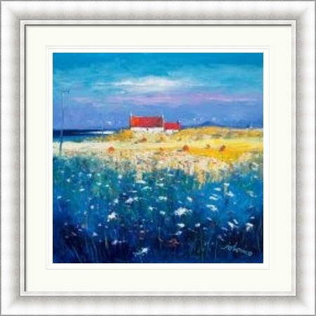 Hayfield, Isle of Tiree, Looking to Ben More by Jolomo