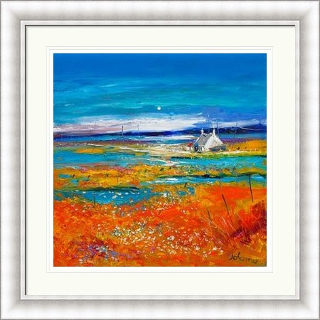 Machair Wild Cotton and Wild Flowers, South Uist by Jolomo