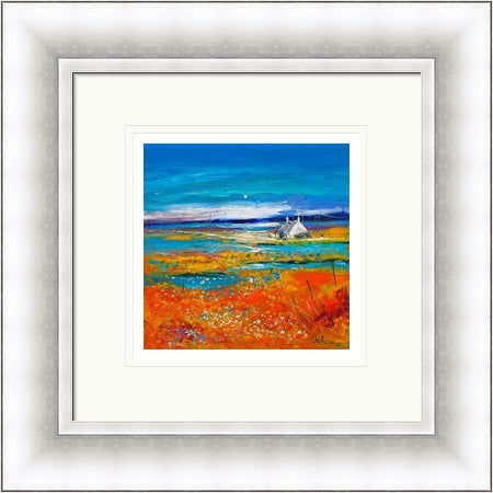 Machair Wild Cotton and Wild Flowers, South Uist by Jolomo