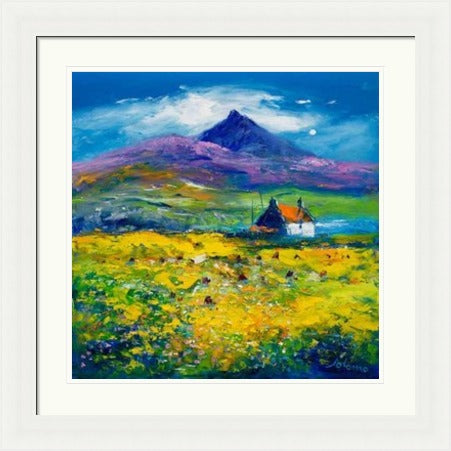 Wee Peat Stacks And Wild Machair Flowers, South Uist by John Lowrie Morrison (Jolomo)