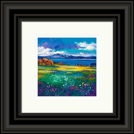 Tokavaig, Skye by Jean Feeney