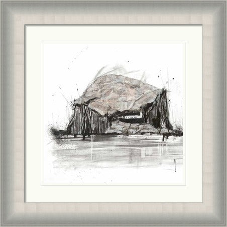 Bass Rock by Liana Moran